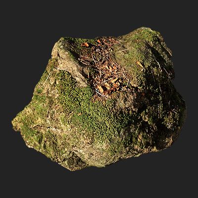 苔藓石头岩石模型带贴图