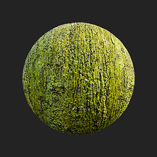 树皮条纹绿色苔藓纹理贴图