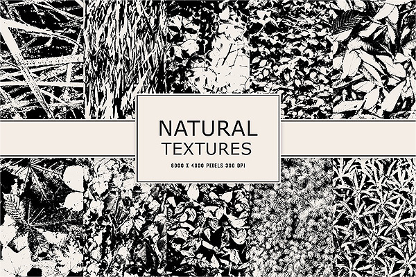自然黑白植物纹理机理背景底纹纹理设计素材背景纹理无缝图案素材JPG,PNG下载