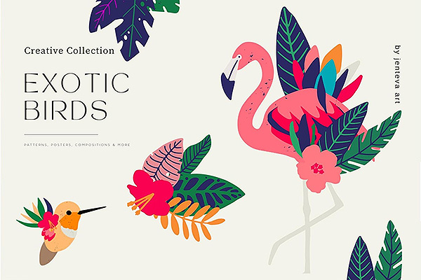 一组美丽的奇异鸟类和植物插图图案 AI,EPS,JPG,PNG下载