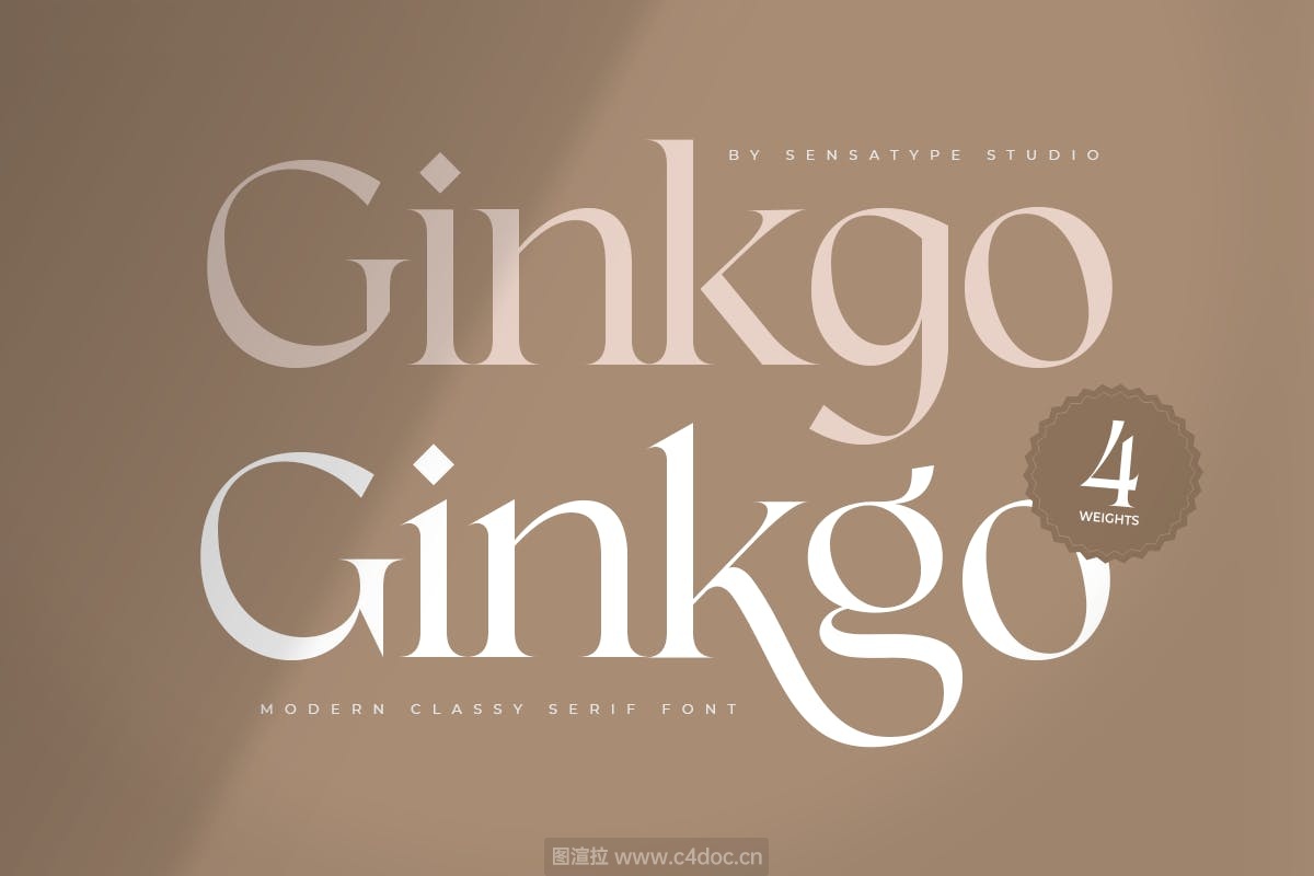 高端优雅现代优雅衬线字体Ginkgo英文字体下载