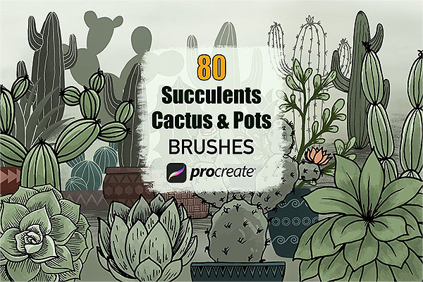 80种仙人掌多肉植物和花盆Procreate笔刷素材 brushset格式下载