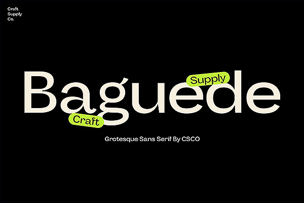 Baguede-Grotesque Sans Serif流行复古英文字体下载
