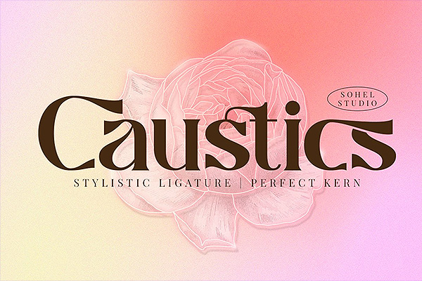 Caustics Font Family-独特的风格现代衬线字体