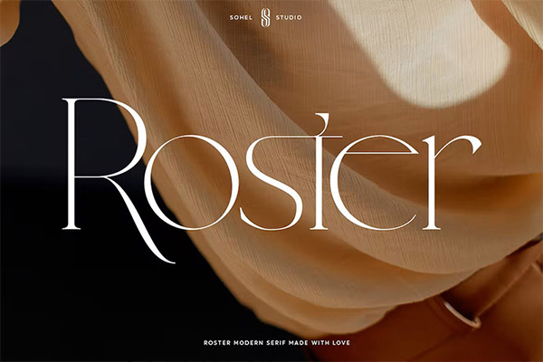 Roster Font-现代优雅女性化设计风格设计衬线英文字体TTF，OTF，WOF格式下载