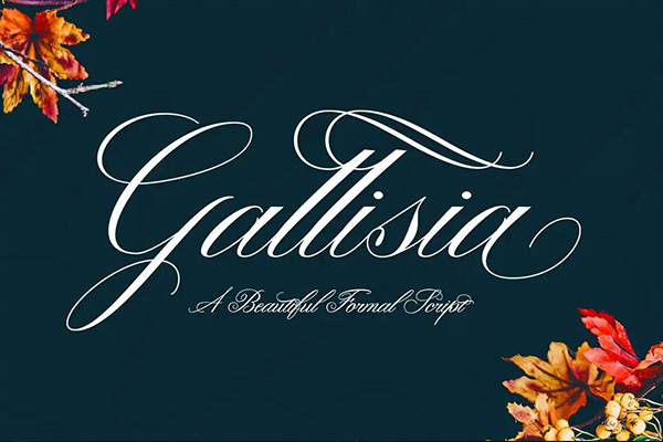 Gallisia-时尚手写体英文字体下载