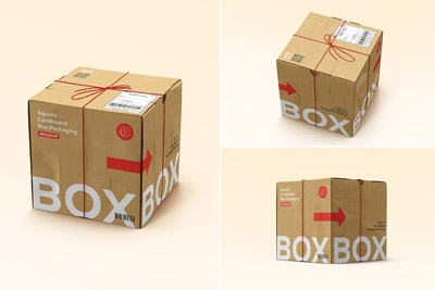 方形邮寄纸板箱包装设计样机