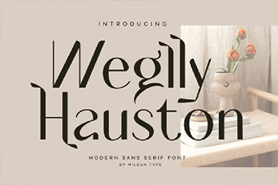 Weglly Hauston -现代独特适合徽标、标志、时尚、品牌项目和服装无衬线英文字体