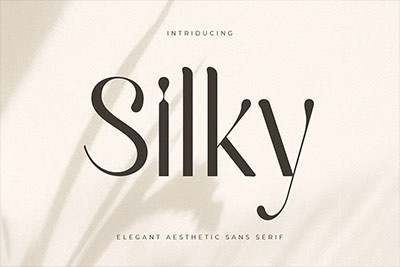 Silky – Elegant Aesthetic Sans Serif-优雅奢华品牌海报标识无衬线英文字体