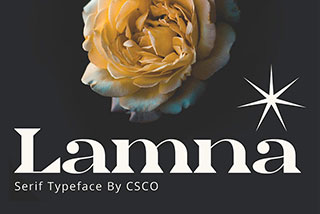 Lamna Wide Serif Font现代优雅杂志海报封面标题设计衬线英文字体