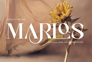 Marlos时尚优雅品牌婚礼海报设计标题衬线英文字体