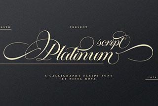 Platinum script优雅奢华女性化婚礼主题贺卡封面标题LOGO设计手写英文字体素材