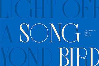 Song Bird Modern Serif现代复古品牌杂志标识海报封面衬线英文字体素材
