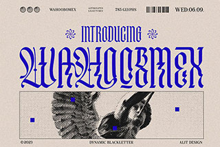 Wahoobomex Dynamic Blackletter复古酸性中世纪哥特式海报杂志排版封面标题英文字体