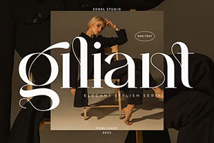 Giliant-现代优雅化妆品品牌字体女性杂志封面标题设计衬线英文字体