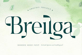 Breilga Modern Serif Font优雅杂志品牌海报设计衬线英文字体下载