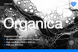 50款黑白未来派水墨油漆液体抽象艺术高清背景图片设计素材 50 Black and White Organic Textures