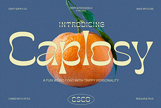 Caplosy Trippy Font时尚海报封面设计无衬线英文字体下载