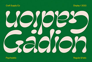 Gadion Psychedelic Typeface时尚杂志海报徽标设计装饰英文字体