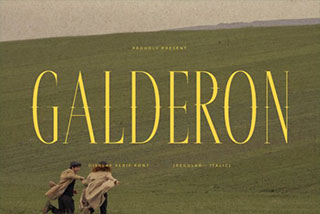 Galderon Display Serif Font现代优雅复古婚礼电影书籍标题徽标LOGO设计衬线英文字体
