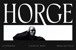 Horge A Display Serif Font现代杂志海报设计衬线英文字体