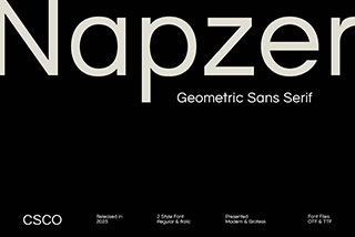 Napzer-Geometric Sans Serif现代时尚杂志海报排版标题无衬线英文字体