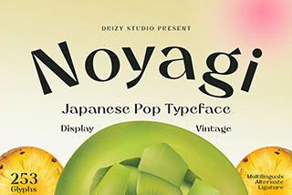 Noyagi Vintage Japanese Pop Font复古日本风格食品海报排版标题英文字体素材下载