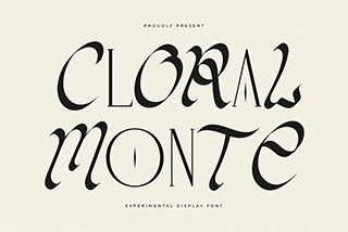 Cloral Monte Experimental Display Font优雅品牌海报徽标设计衬线英文字体