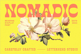 Nomadic潮流复古酸性逆反差潮牌海报封面标题装饰英文字体