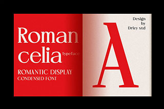 Romancelia – 浪漫情人节活动海报平面排版压缩衬线英文字体