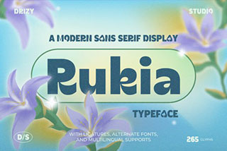 Rukia Modern Sans Serif Font现代杂志海报徽标食品包装设计无衬线英文字体