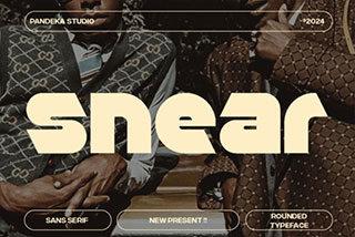 Snear – Modern Sans Display Font复古中世纪风格厚重品牌海报标题无衬线字体