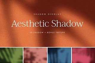 20款植物树叶窗户阴影贴图纹理电商设计光影背景png素材 Aesthetic Shadow Overlay