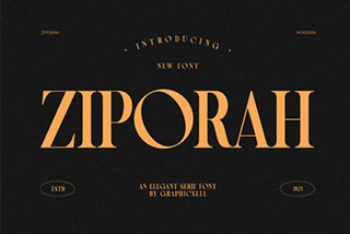 Ziporah独特优雅品牌徽标婚礼产品包装网页设计字体