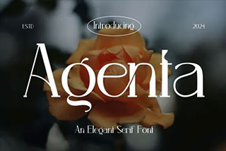 Agenta – Elegant Serif Font现代奢华杂志海报标题LOGO设计英文字体素材