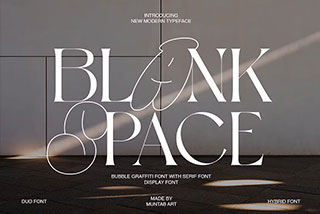 Blank Space | Modern Display现代复古杂志品牌广告设计无衬线字体