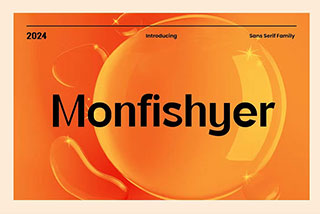 Monfishyer Sans Serif Family现代品牌文具书籍封面杂志徽标网站标题设计无衬线英文字体