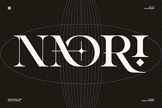 Naori现代时尚潮流品牌logo广告海报封面标题装饰英文字体包